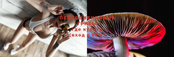 apvp Пестово
