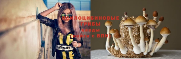 apvp Пестово