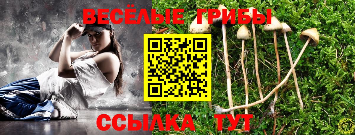 Галлюциногенные грибы MAGIC MUSHROOMS  Тосно 