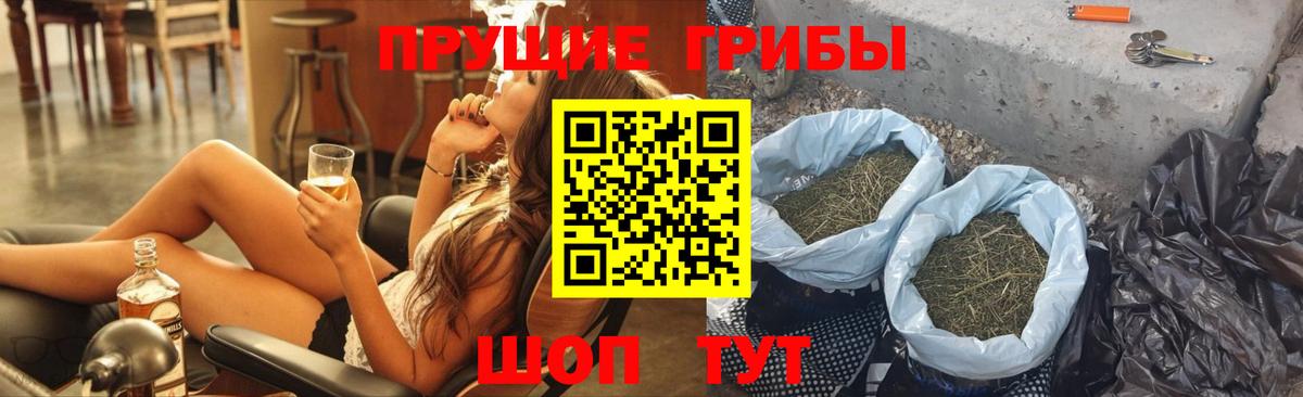 Псилоцибиновые грибы мицелий Тосно