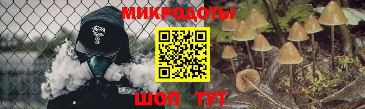 Псилоцибиновые грибы прущие грибы  Вход с VPN  Тосно 